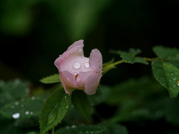 Stratégies indispensables pour un déménagement réussi de votre petite entreprise : astuces et conseils pratiques!