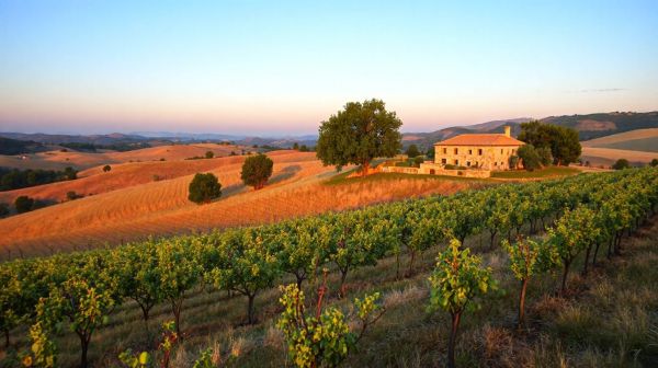 Les meilleures entreprises pour l'élimination des nuisibles dans le Vaucluse